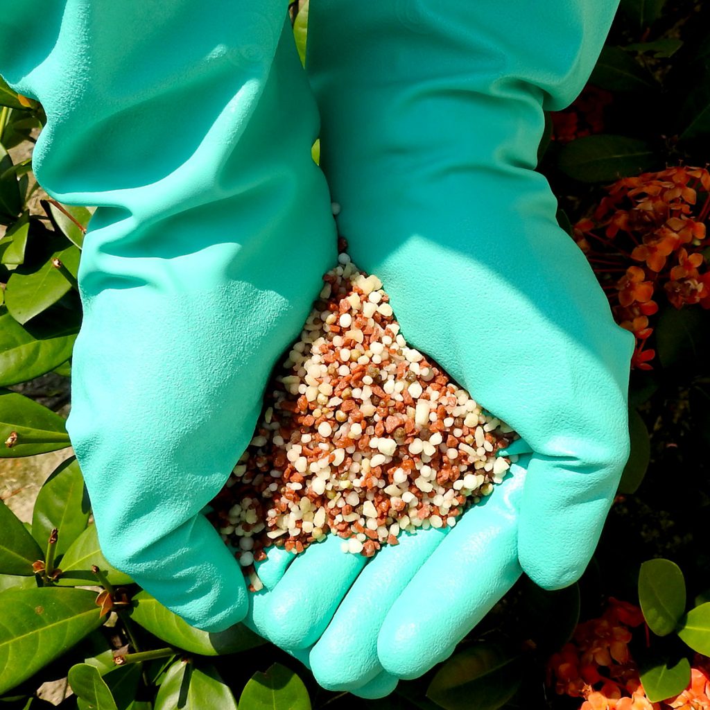 15 3 29 Bel Agro Agriculture